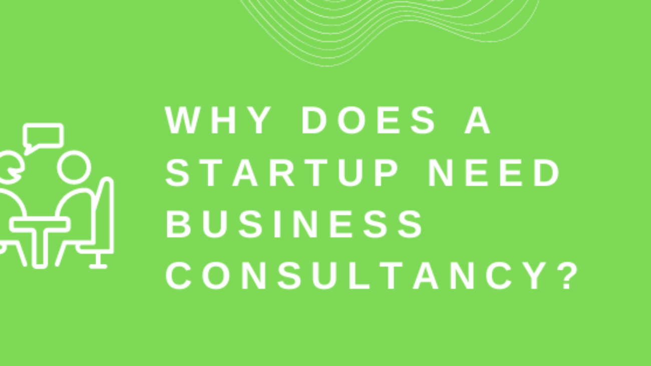 Why does a Startup need Business Consultancy? - By Egniol