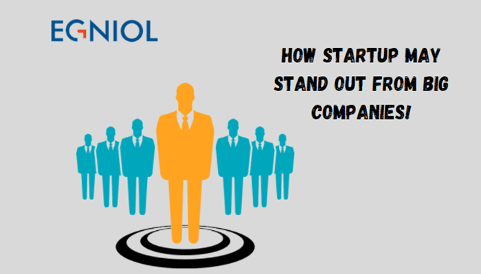 How Startup may stand out from Big Companies! - By Egniol