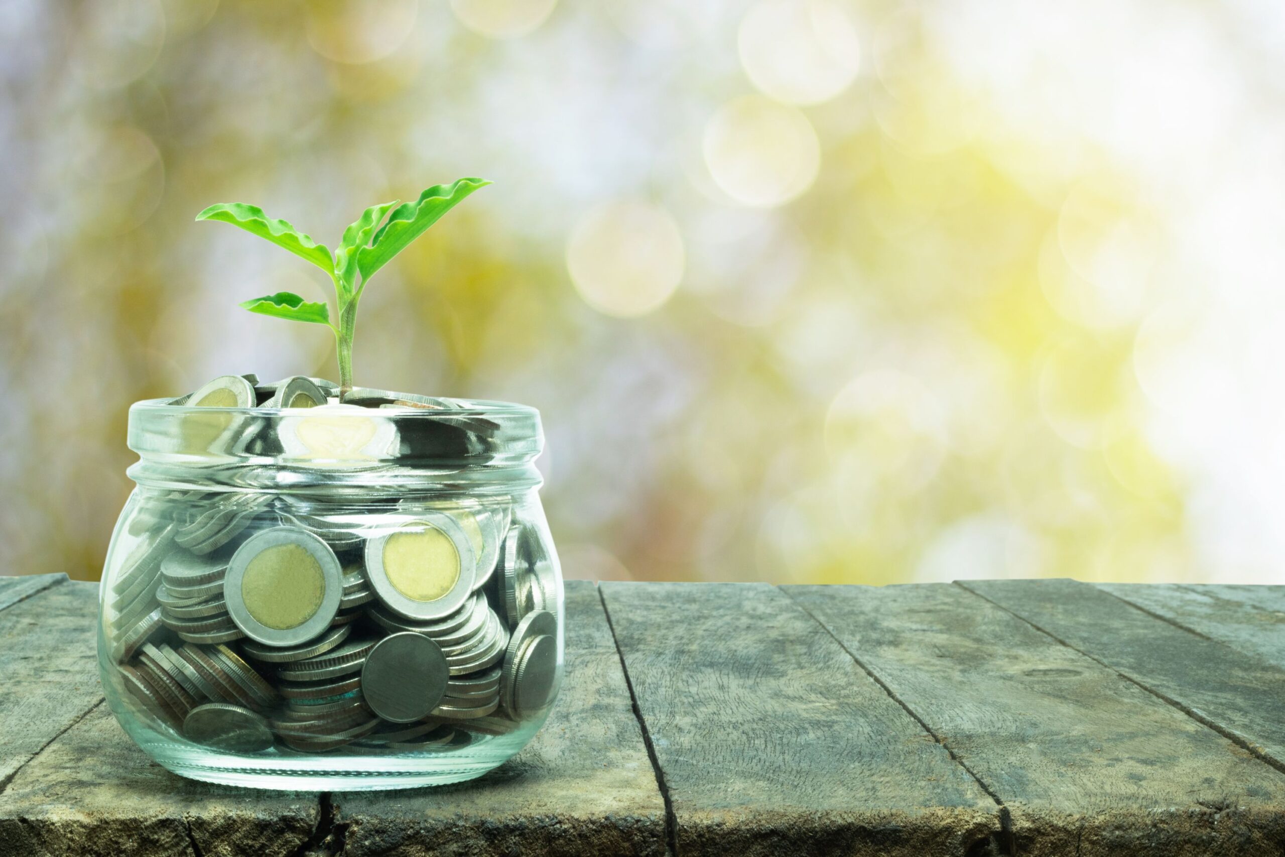 tree-grow-jar-coin-symbol-margin-business