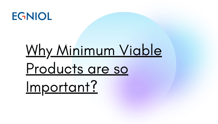 Why Minimum Viable Products are so Important?