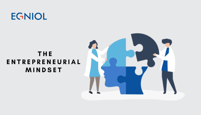 The Entrepreneurial Mindset - By Egniol