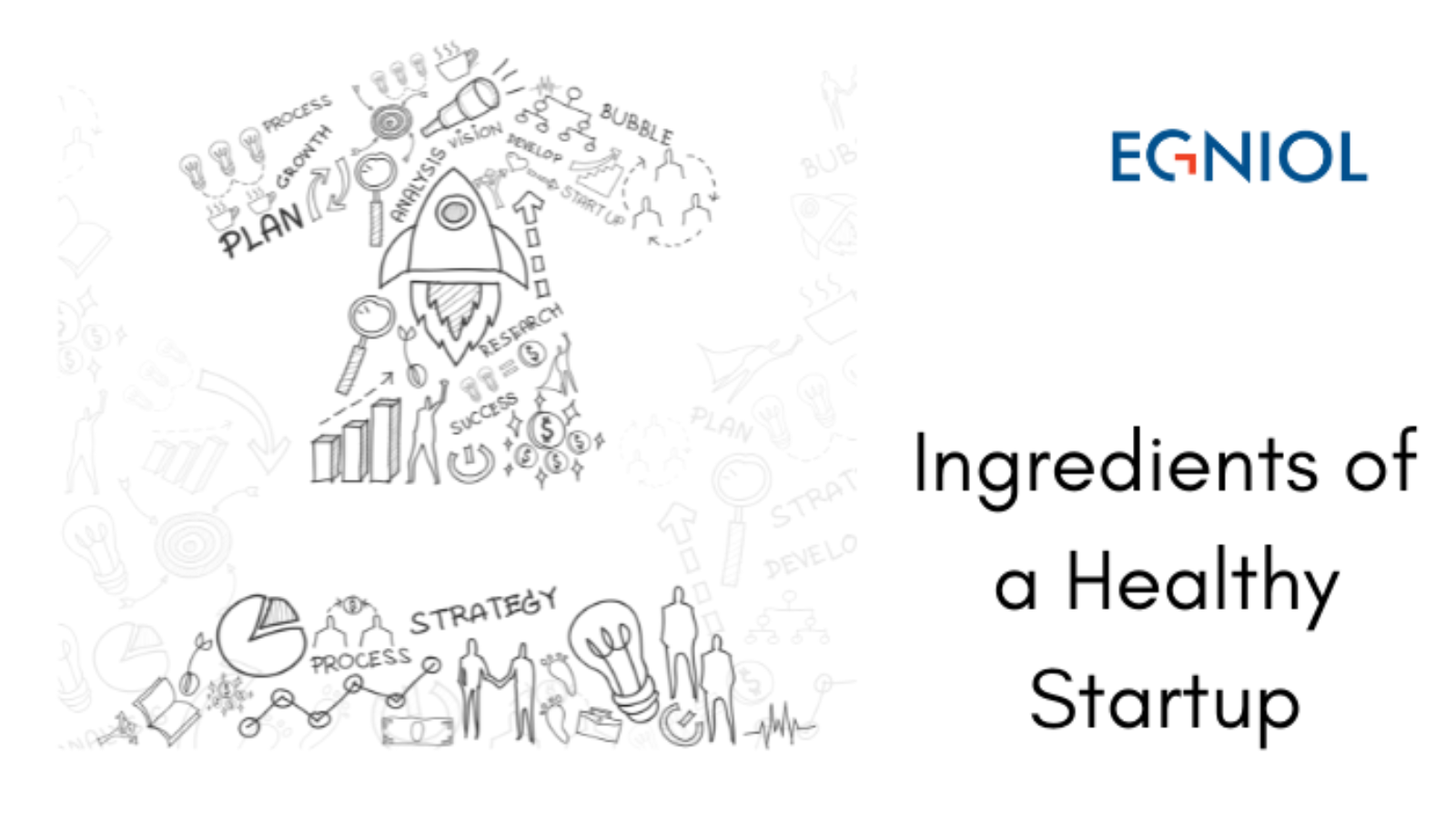 Ingredients of a Healthy Startup - By Egniol