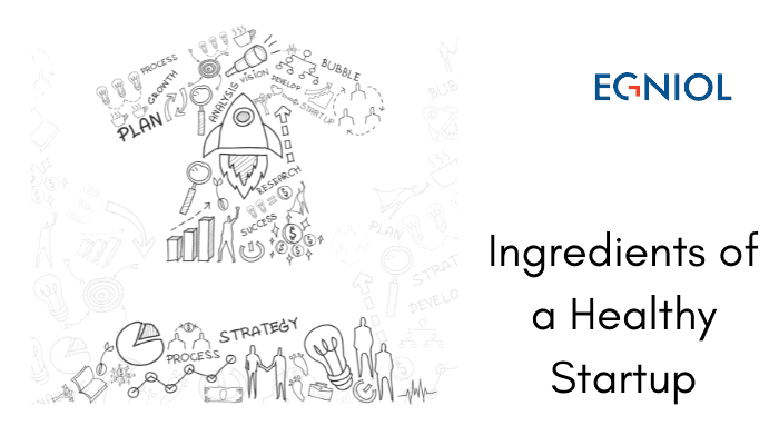 Ingredients of a Healthy Startup