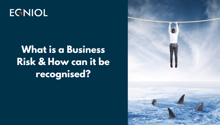 What is a Business Risk & How can it be recognised? - By Egniol