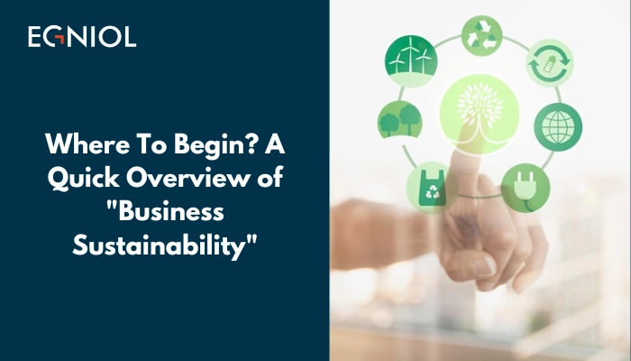 where to begin a quick overview of business sustainability