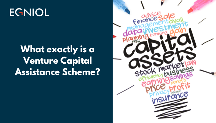 What exactly is a Venture Capital Assistance Scheme